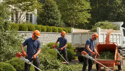 Tacoma, WA tree service crew removing overgrown shrubs for safe, efficient clearing