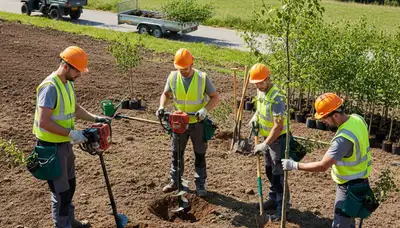 Tacoma, WA tree planting service selecting the right trees for site soil and spacing